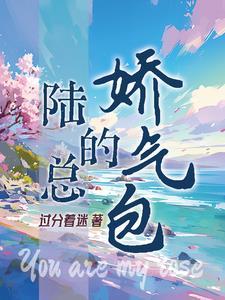 陆总的娇气包角色介绍