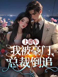 总裁上错车 夏末结局