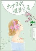 六十年代媒婆生涯2k
