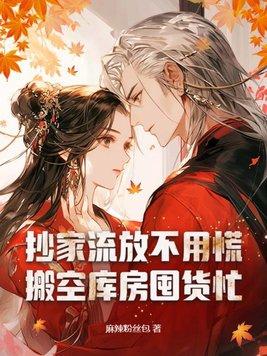 抄家啥意思