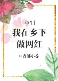 我在乡下开直播