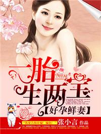 好孕鲜妻一胎生二宝