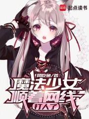 魔法少女顺着网线打人了TXT