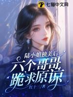 陆小姐撒个娇免费