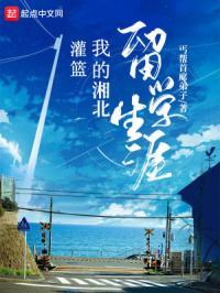 灌篮高手湘北全国大赛