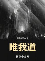 唯我道 笔趣阁