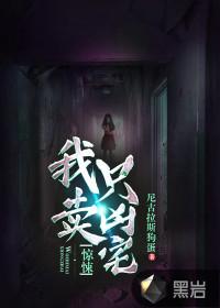 惊悚我只卖凶宅百度