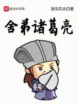 舍弟诸葛亮为什么全是乱的