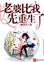 老婆比我先重生了百科