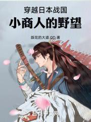 穿越日本战国小商人的野望盗版