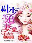 叶少宠妻如命免费阅读