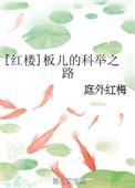 红楼板儿的科举之路王玥免费阅读