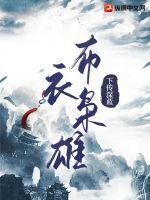 布衣大哥是谁