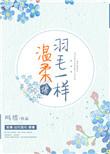温柔像羽毛一样txt