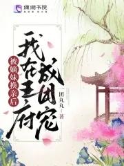 被嫡妹换亲后我在王府成团宠 一团丸丸