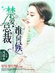 禁爱总裁霸道宠