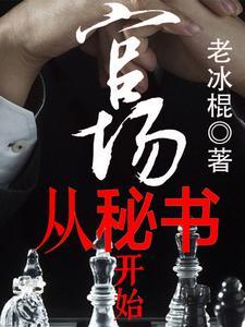 官场密闻