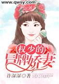 权少的替嫁萌妻全文免费