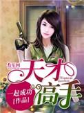 天才高手叶天龙身份