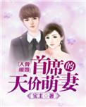 入骨暖婚误惹天价老公txt