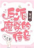 穿成反派魔尊的侍妾-小二宝-穿越重生-PO文阁手机阅读