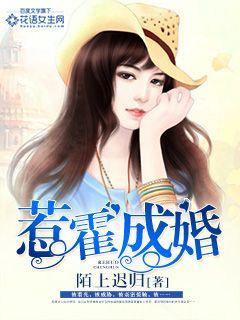 惹霍成婚无需登录免费阅读