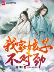 女主叫洛清吟的