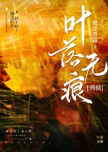 叶落无痕讲什么