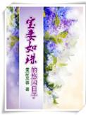 宝妻什么好看