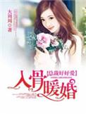 入骨暖婚电视剧全集
