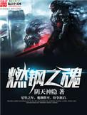 燃钢之魂精校