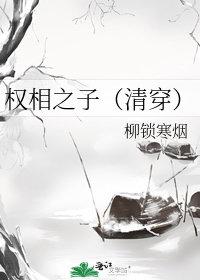 权臣之妻清穿
