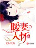 暖妻入怀越看越难看