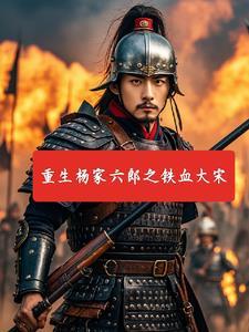 铁血杨家将动画片