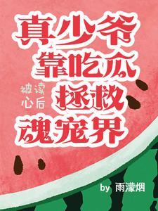 少爷全文免费