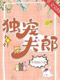 异世重生独宠夫郎