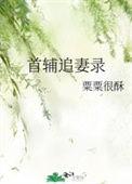 首辅大人追妻手册