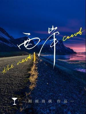 西岸光影节点亮夜经济