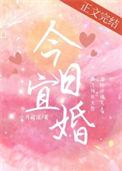 今日宜婚短剧免费观看大结局
