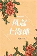 风起上海滩短剧