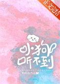 小狗听不到 阅读