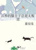 云养猫百科