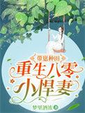 重生八零带着空间种田