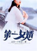 第一女婿全集免费阅读