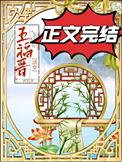 清穿福晋很暴燥