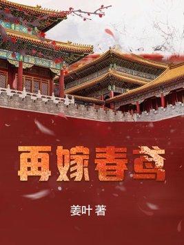 再嫁无弹窗阅读