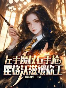 主角是霍格沃兹教授的