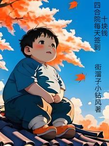 老四合院的布局图