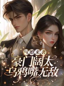 闪婚闪来亿万豪宠