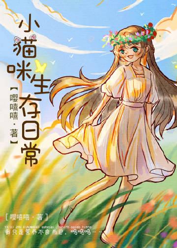 小猫咪日常生活视频